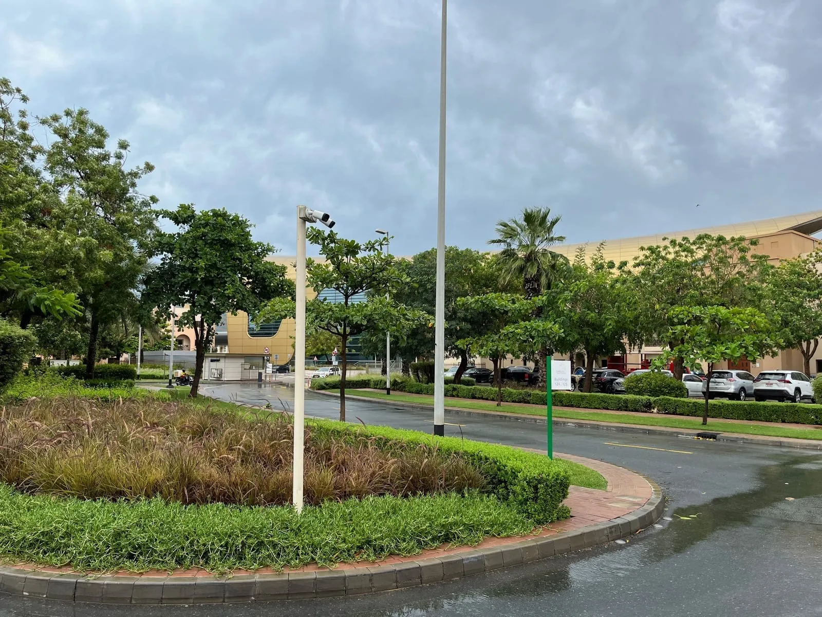 A wet road and roundabout planted with trees and grasses under a grey, rainy sky