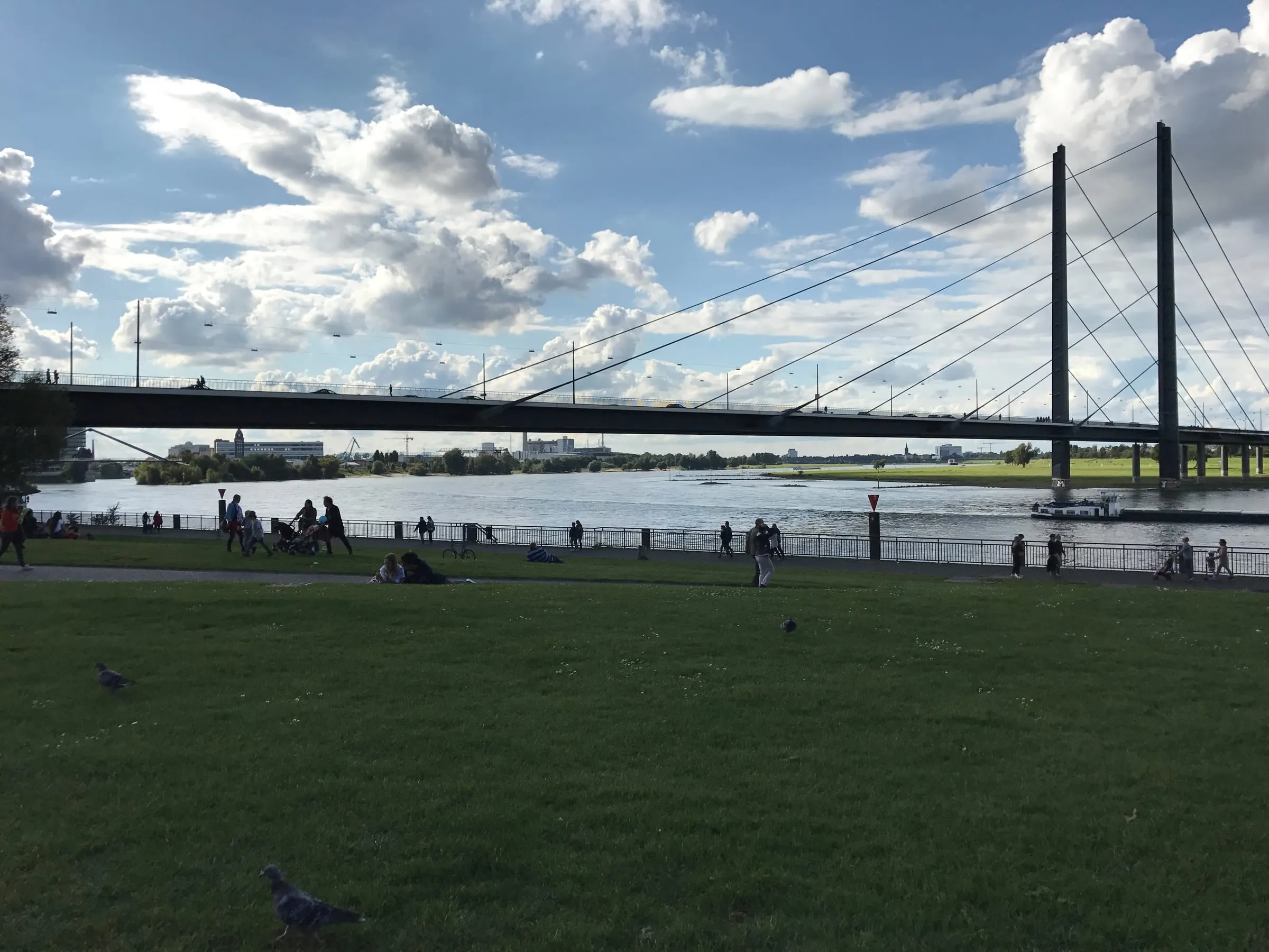 A cable-stayed bridge over the river seen across a large lawn, under a blue sky with white clouds