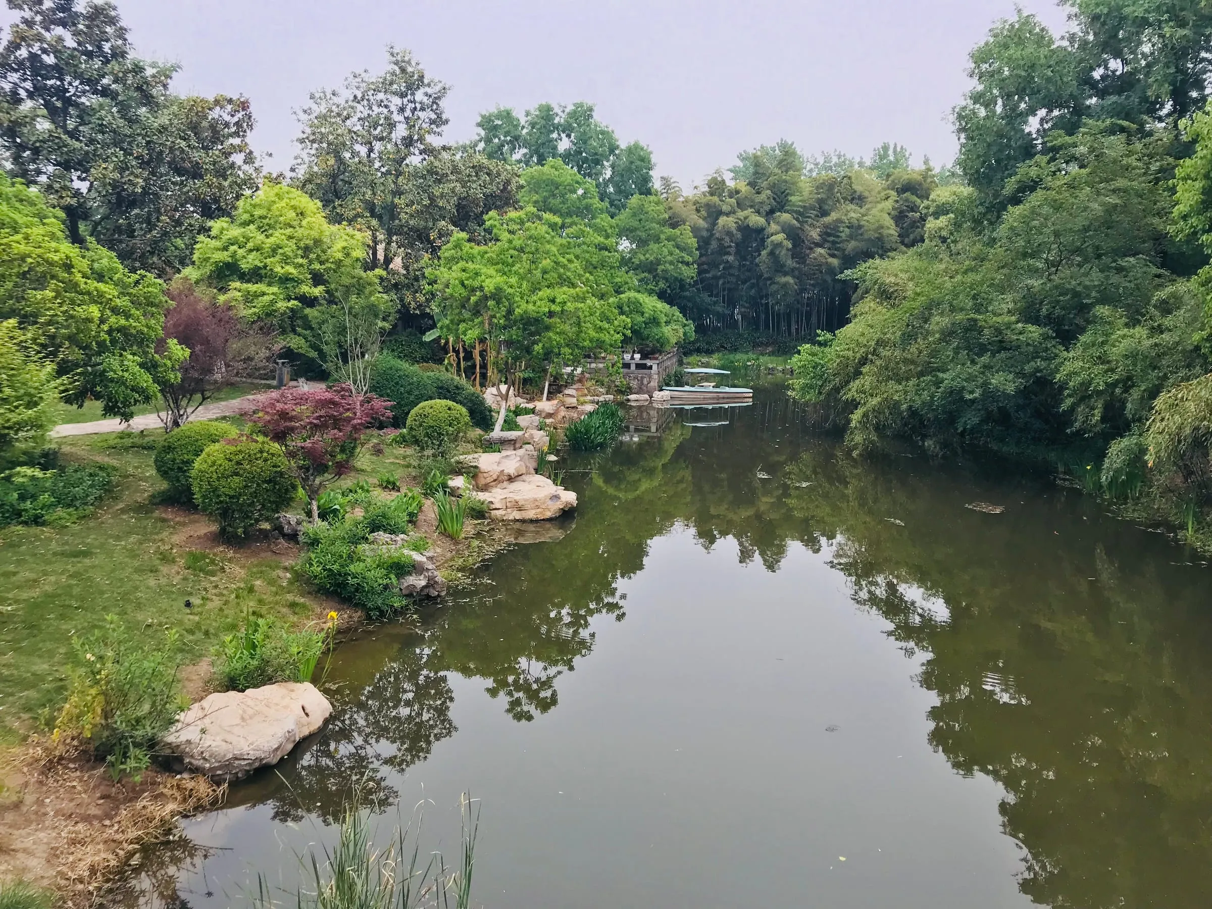 A garden pond edged with rocks and maples, trees reflected in the water