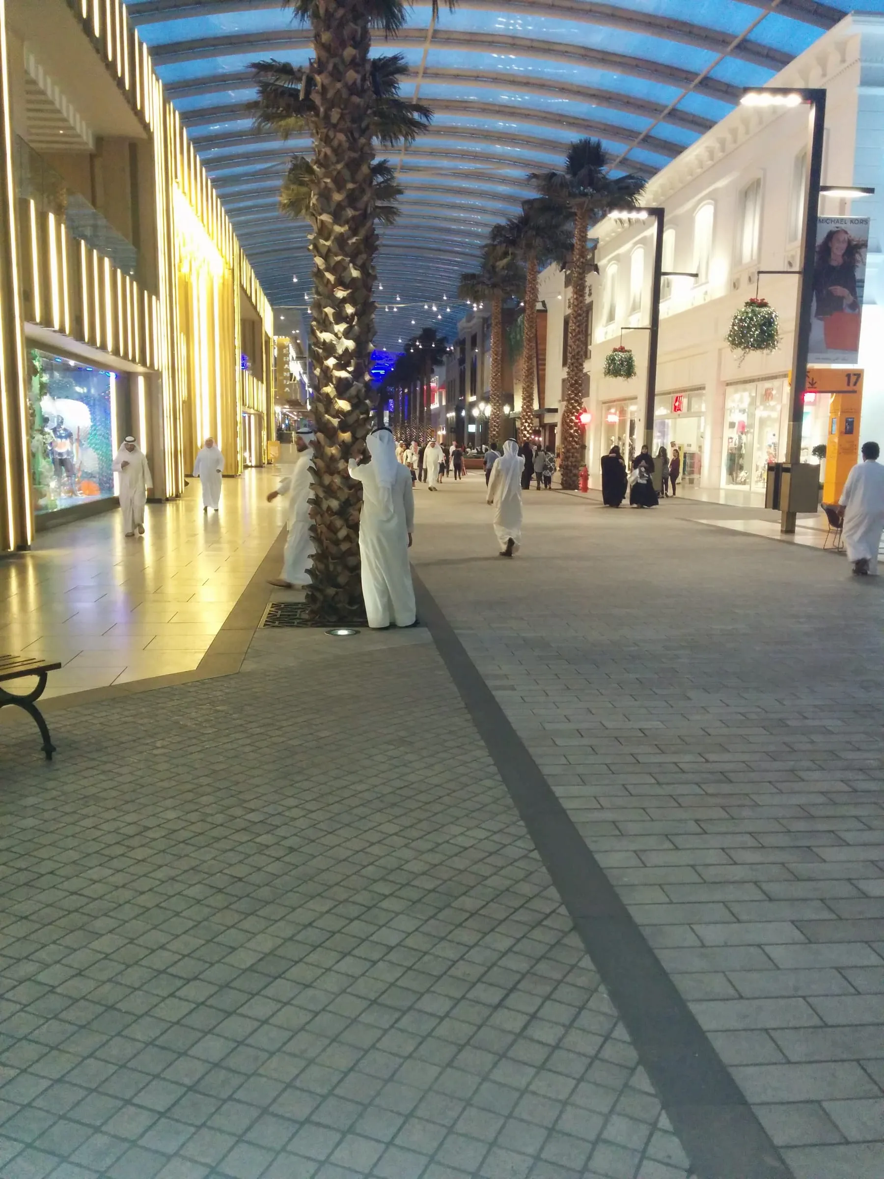 A long, bright shopping arcade with a glass roof and palm trees down the middle