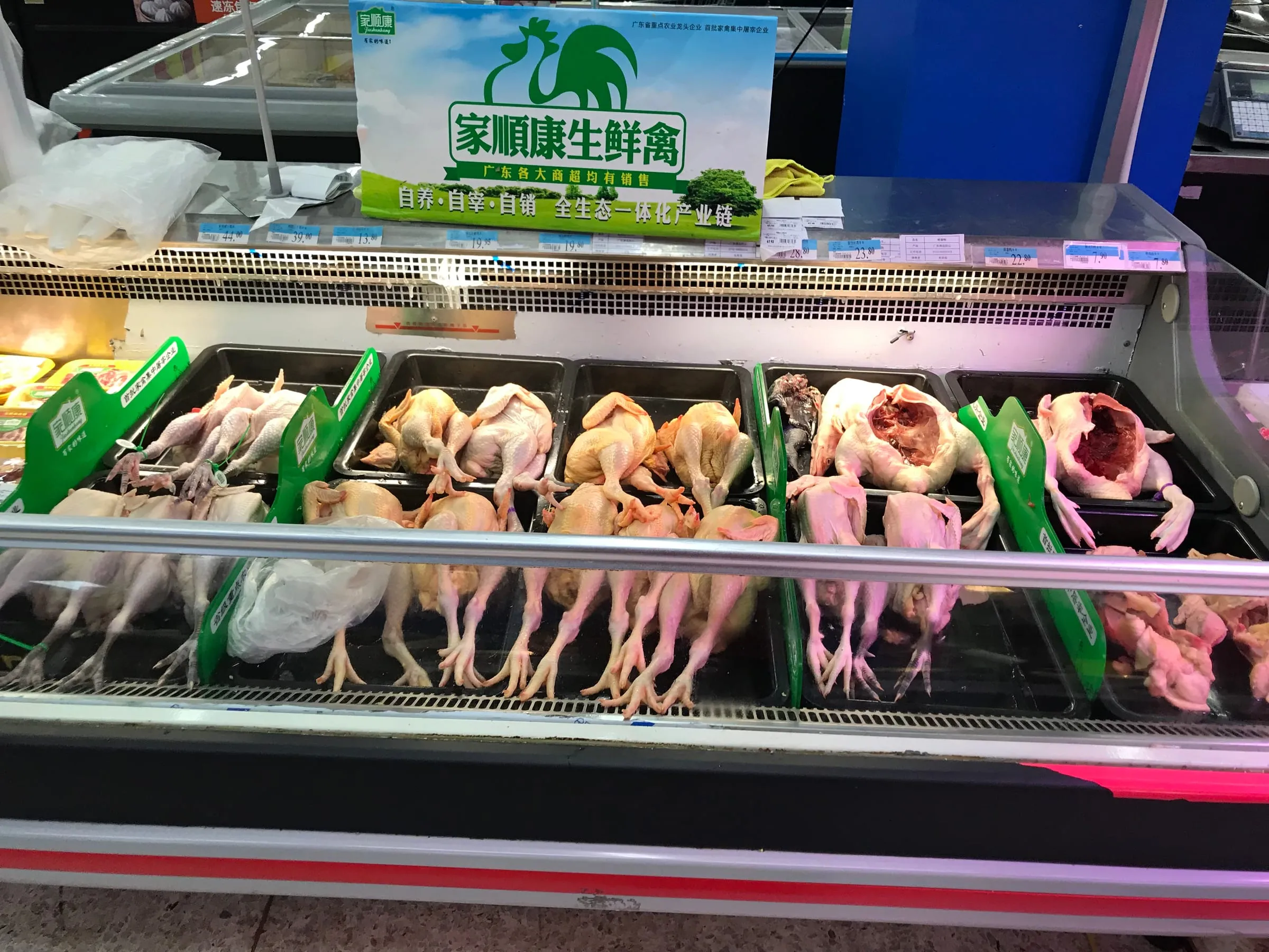A market counter of whole chickens laid out in trays under a green sign with Chinese characters