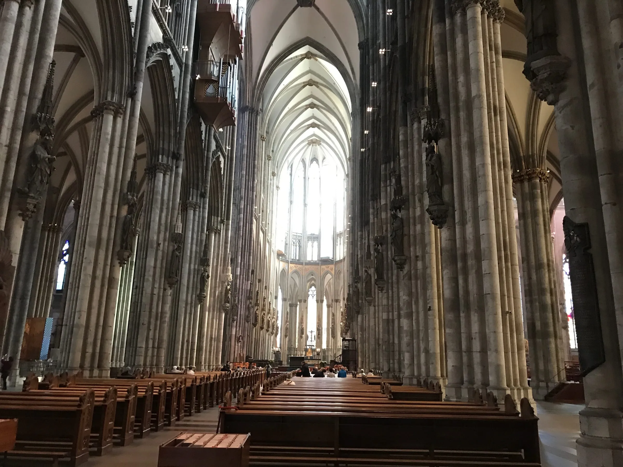 The cathedral nave from the back, columns rising to a high vaulted ceiling and light through the windows