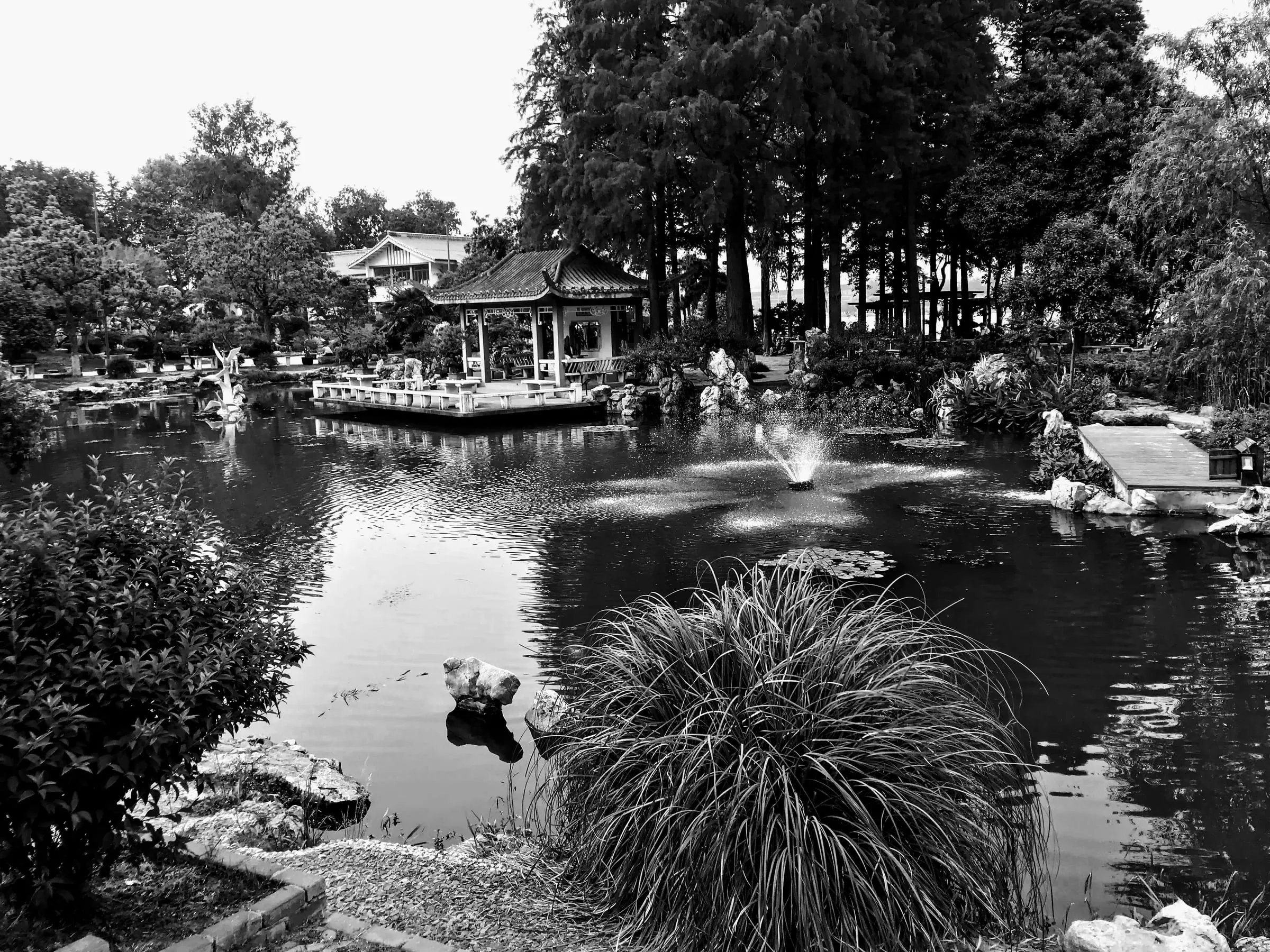 A black and white photo of a garden pond with a pavilion, grasses and a small fountain