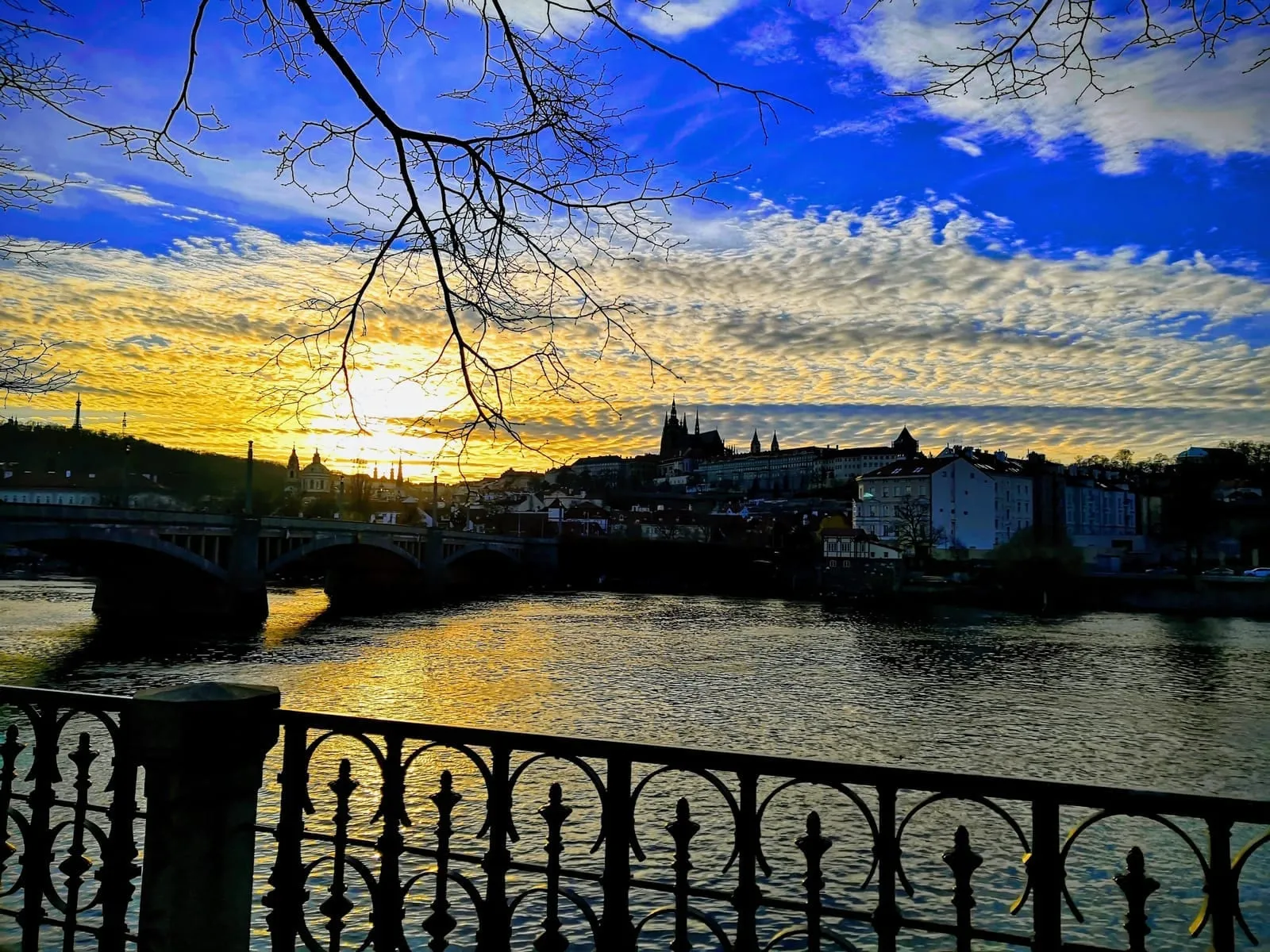Sunset over the river seen through bare branches, a bridge and the castle on the far bank, an iron railing in front