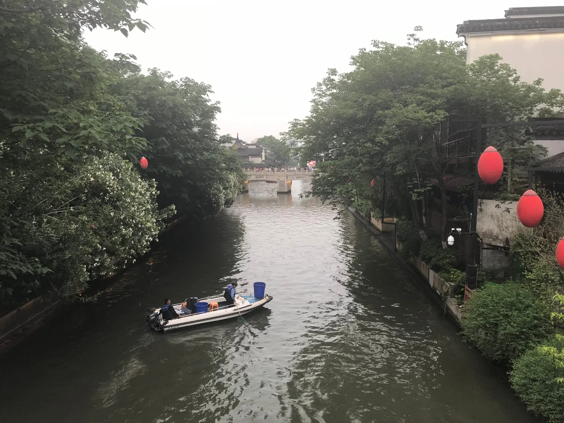 A small boat on a green river between trees hung with red lanterns