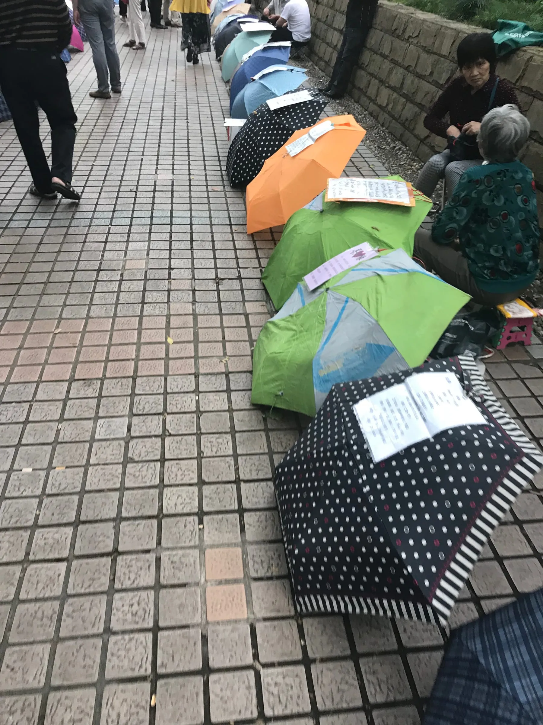 Open umbrellas lined up along a tiled pavement, each with a printed one-page profile of a young man or woman laid on top